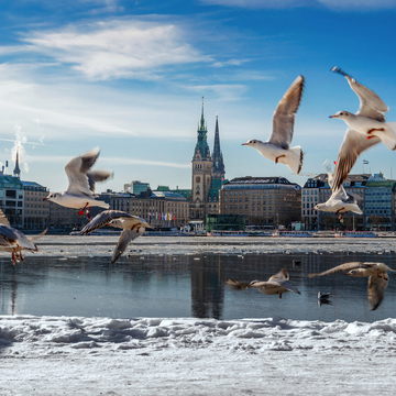 Hamburgs Alster im Schnee - © Alexander Kassner Alex K. Media