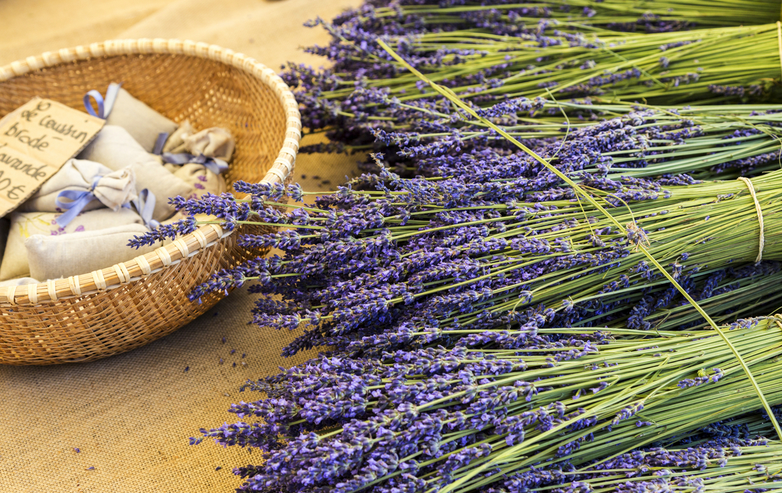 Lavendel aus der Provence in Frankreich