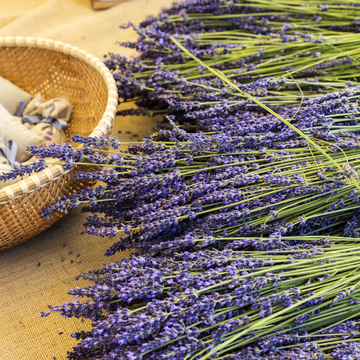 Lavendel aus der Provence in Frankreich - © Christine - stock.adobe.com