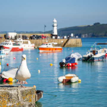 Hafen der wunderschönen Küstenstadt St. Ives - © Nicole Kwiatkowski - stock.adobe.com