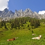 Almidylle am Hochkönig