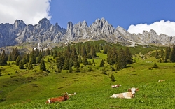 Almidylle am Hochkönig