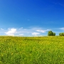 © candy1812 - stock.adobe.com