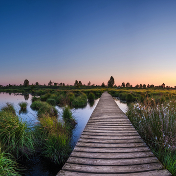 Hohes Venn - © Vincent - stock.adobe.com