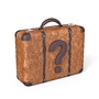 Reise-Koffer mit Fragezeichen - © bahrialtay - Fotolia