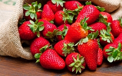 frische Erdbeeren auf Holz in Jutesack