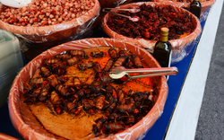 Sonntagsmarkt in Cannobio