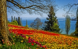 Insel Mainau Exklusiv