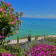 Insel Mainau