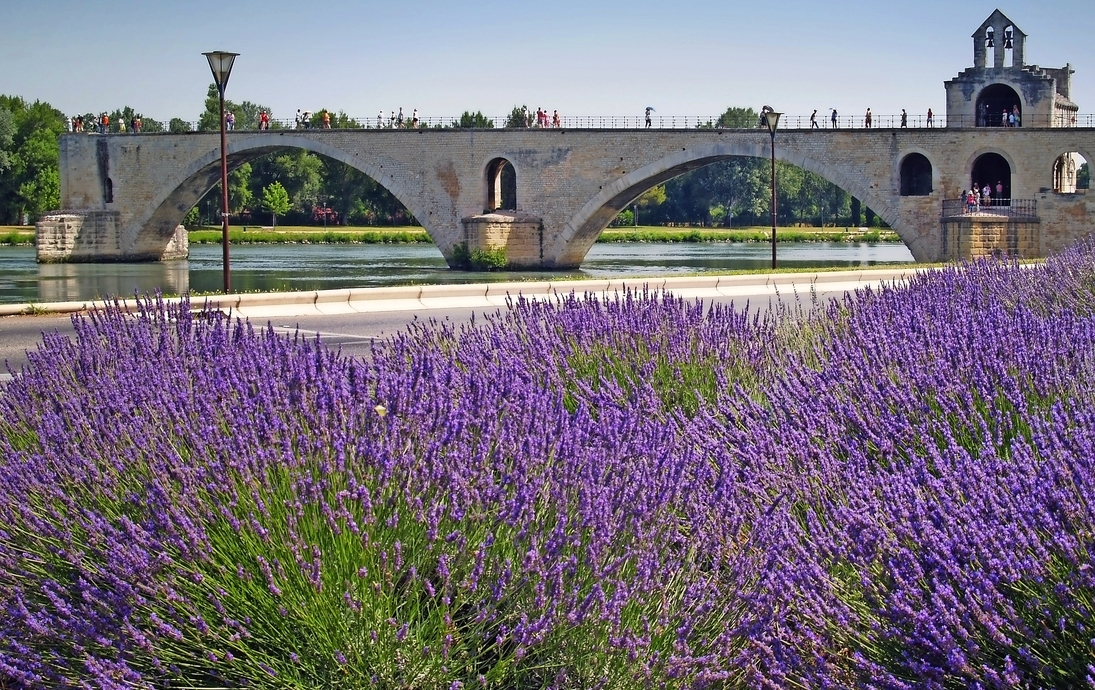 Pont Saint-Bénézet oder Pont d’Avignon in Avignon, Frankreich