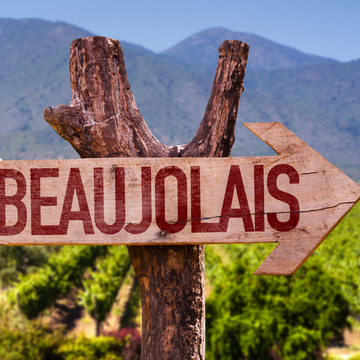 Weinbaugebiet Beaujolais in Frankreich - © gustavofrazao - stock.adobe.com
