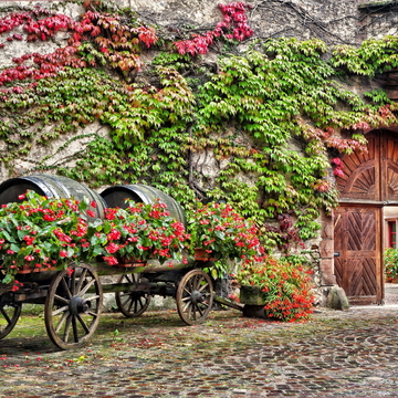 Weinregion Elsass - © drsg98 - stock.adobe.com