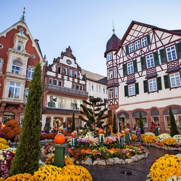 © Stadt Lahr 