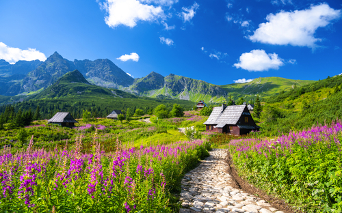 Polens Königsstädte und Hohe Tatra
