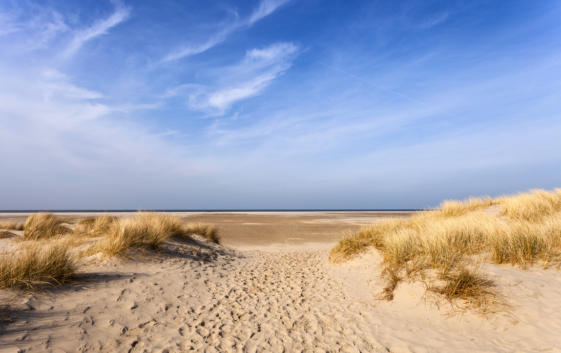 Weg durch die Dünen zum Strand von Borkum