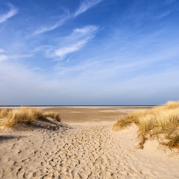Weg durch die Dünen zum Strand von Borkum - ©S. Engels - stock.adobe.com
