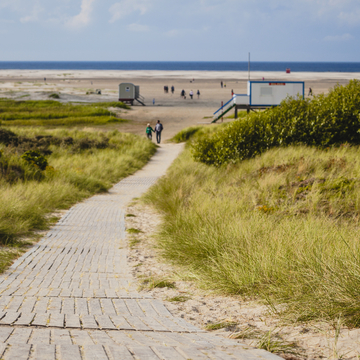 Weg zum Strand auf Borkum - ©S. Engels - stock.adobe.com