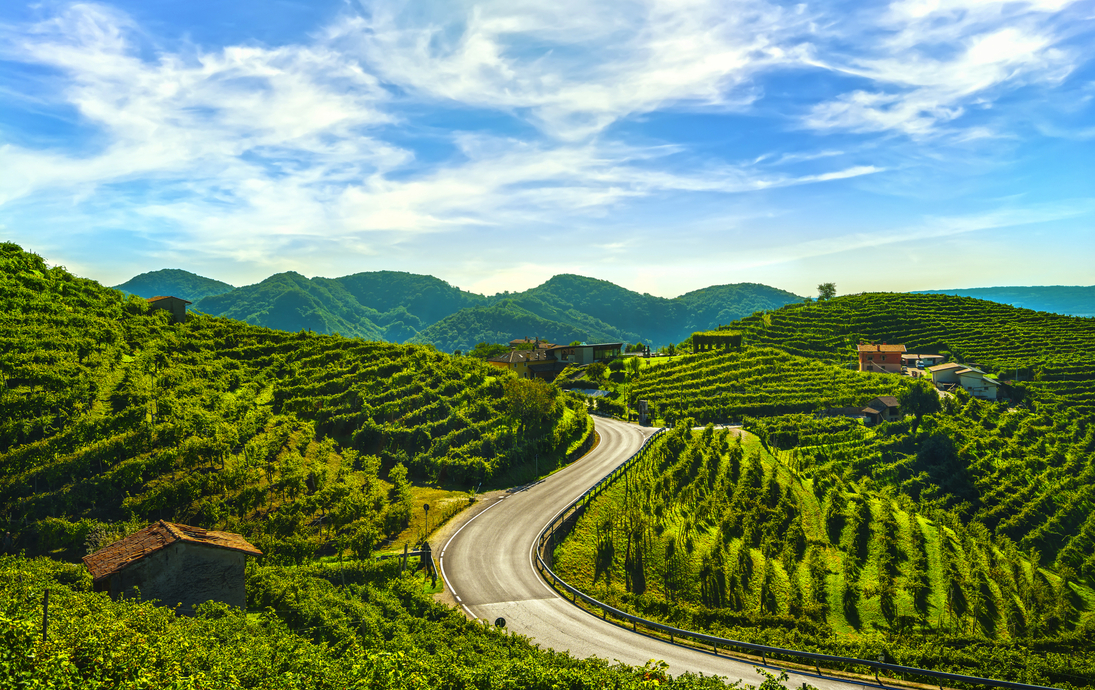 Prosecco Hills nahe Valdobbiadene in Venetien, Italien