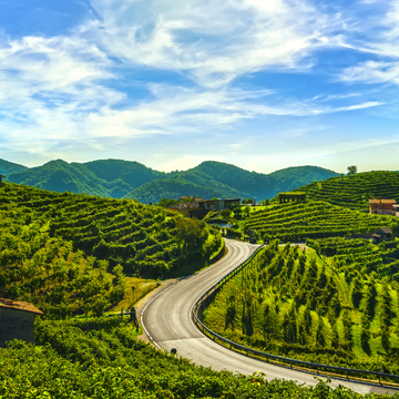 Prosecco Hills nahe Valdobbiadene in Venetien, Italien - ©stevanzz - stock.adobe.com