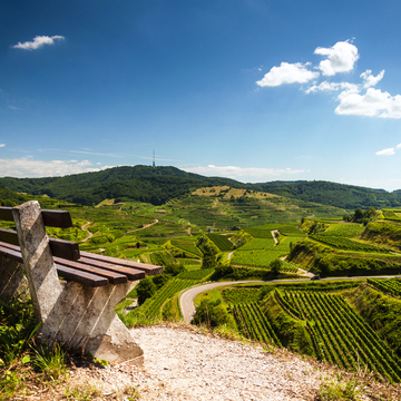 Kaiserstuhl - © marqs - stock.adobe.com