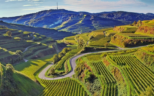 Weinradweg Etappe 2