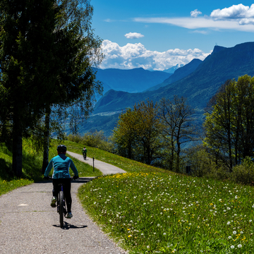 Radfahrer im Tschöggelberg in Südtirol, Italien - ©MarkusBraun - stock.adobe.com