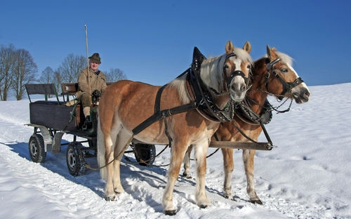 Weihnachten & Silvester in Bad Aibling