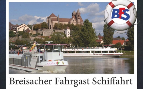 Gänse Schiff Breisach 