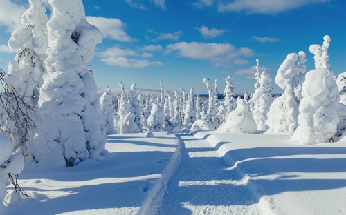 Nordlichtzauber über Lappland