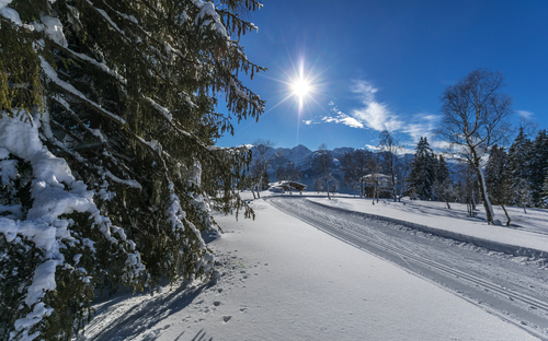 Ski- und Wandersafari im Salzburger Land