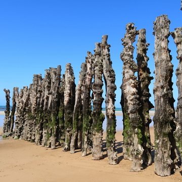 Wellenbrecher am Sillon-Strand in Saint-Malo - ©Florence Piot - stock.adobe.com
