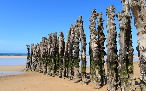 Normandie & Bretagne