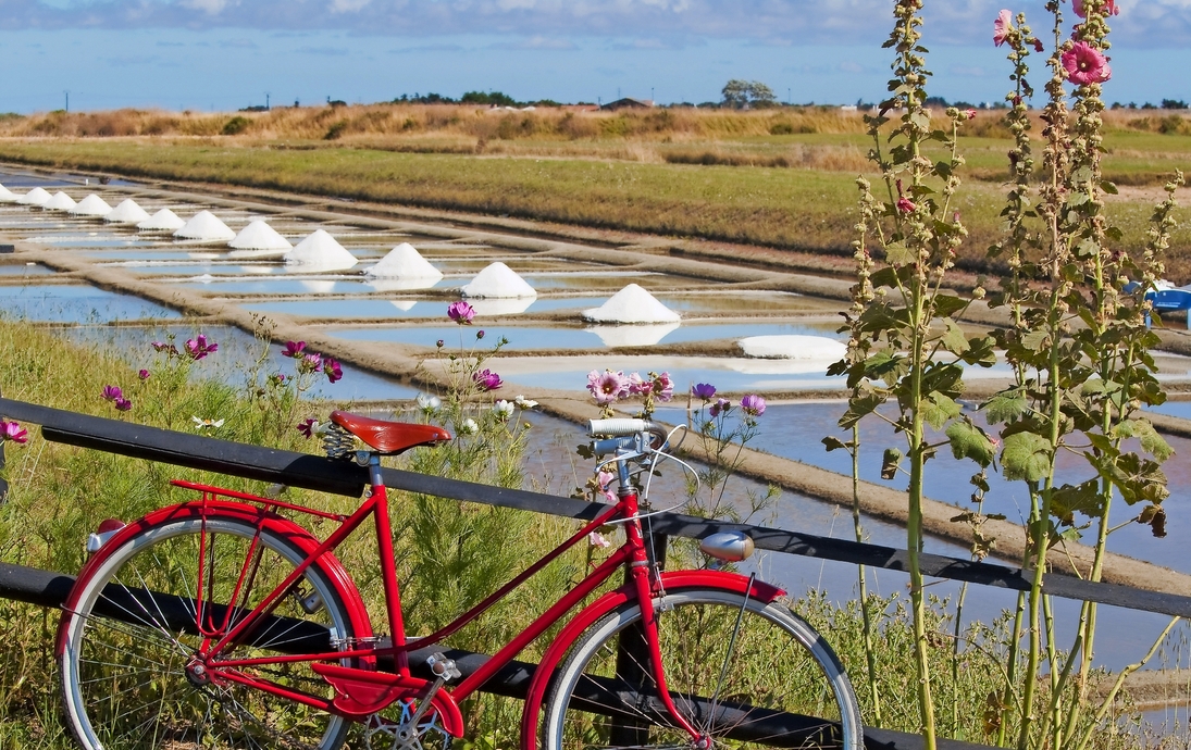 Fahrrad am Rande der Salzwiesen