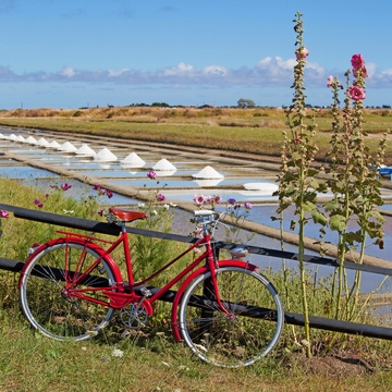 Fahrrad am Rande der Salzwiesen - © Thierry RYO - stock.adobe.com
