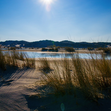 Dünen auf Norderney - © Inselney - stock.adobe.com