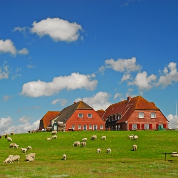 Hallig Hooge - © fujipe - stock.adobe.com